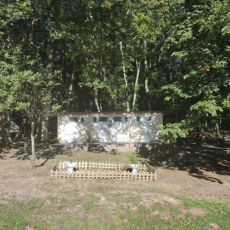 Camping Sous Les Belles Etoiles Peyrilhac Exteriér fotografie